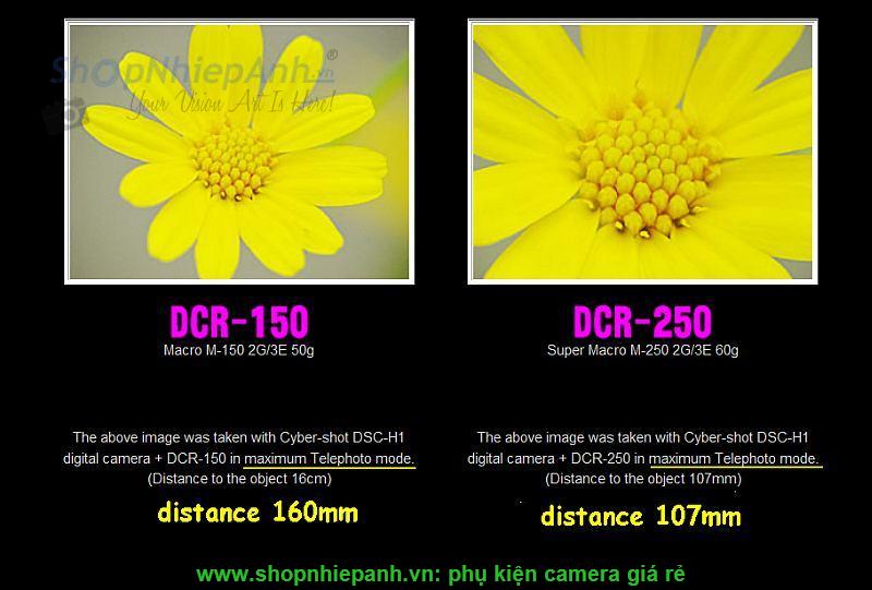 thumbnail Raynox DCR-250 super macro conversion lens - 4