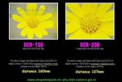 thumbnail Raynox DCR-250 super macro conversion lens - 4