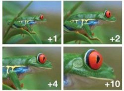 thumbnail Filter Close up macro +10 - 0