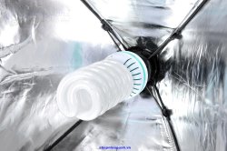 thumbnail Bộ Kit chuôi đèn E27 softbox 50x70cm - 5