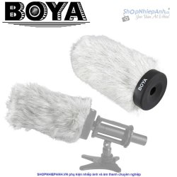 thumbnail Boya BY-P140 windshield - 2