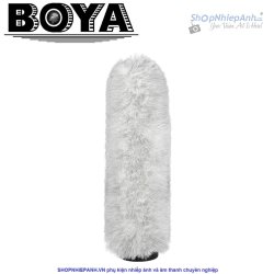 thumbnail Boya BY-P290 windshield