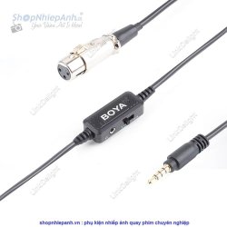 thumbnail Dây Boya BY-BCA6 XLR qua 3.5mm for smartphone - 0