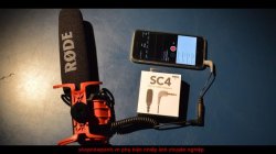 thumbnail Dây kết nối Rode SC4 (TRS to TRRS adaptor) - 1