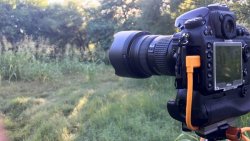 thumbnail Dây Tether tools-TetherPro USB-C to 3.0 Micro-B Right Angle - 1