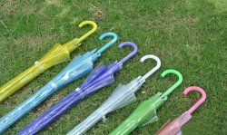 thumbnail Dù trong suốt dành cho model - 1