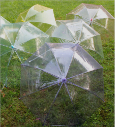 thumbnail Dù trong suốt dành cho model