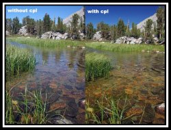 thumbnail Filter Daisee CPL Pro DMC Slim - 3