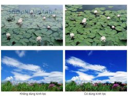 thumbnail Filter Tianya CPL phân cực (circular polarizing) - 3