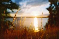 thumbnail Fujifilm C200 fujicolor (iso 200, 36 exp) date 12/2026 - 4