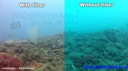 thumbnail Kính lọc màu lặn biển cho Gopro 4 GP150 - 1