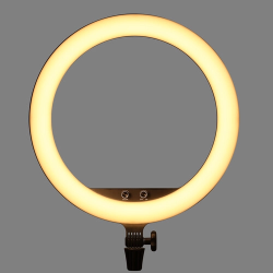 thumbnail Led ring light Godox LR-150 Bi color 18in - 1