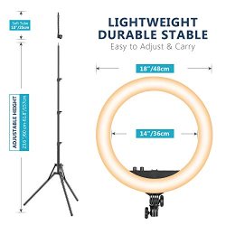 thumbnail Led ring light RL-18 thế hệ mới chỉnh màu và công suất (combo) - 6