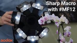 thumbnail Macro Flash GODOX MF12 K2 - 4