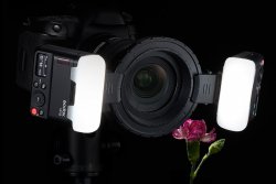 thumbnail Macro Flash GODOX MF12 K2 - 5