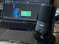 thumbnail Microphone RODE NT-USB MINI - 5