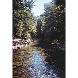 thumbnail Nikon RF10 (lens 34f4.5) - 3