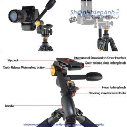 thumbnail Pan head Beike QZSD Q80 - 1