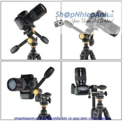 thumbnail Pan head Beike QZSD Q80 - 3