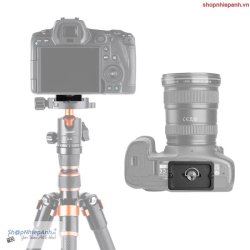 thumbnail Plate tripod chuẩn arca swiss K&F concept KF31.030 - 6