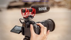 thumbnail Microphone Rode VideoMic NTG (hàng chính hãng check code) - 1