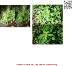 thumbnail Tấm film Polar PL phân cực giảm chói cho đèn flash và nhiều vật dụng phản xạ khác - 1