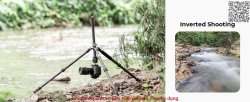 thumbnail Tripod K&F concept Carbon fiber X254C4+BH30 (KF09.116) - 7