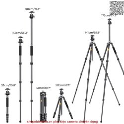 thumbnail Tripod K&F concept Carbon fiber X254C4+BH36 (KF09.117) - 4