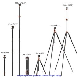 thumbnail Tripod K&F concept T254A8+BH-28L (SA254T1) (KF09.086) top shot - 10
