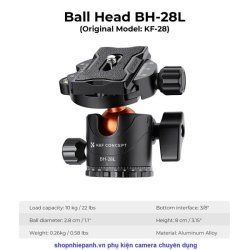 thumbnail Tripod K&F concept T254A8+BH-28L (SA254T1) (KF09.086) top shot - 9