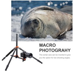 thumbnail Tripod K&F concept T254A8+BH-28L (SA254T1) (KF09.086) top shot - 5