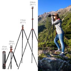 thumbnail Tripod K&F concept T254A8+BH-28L (SA254T1) (KF09.086) top shot - 4