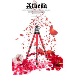 thumbnail Tripod LA-284C + đầu ball LH-30 - 3