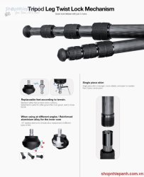 thumbnail tripod Leofoto LO-224C + đầu quay BV-1R - 7