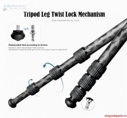 thumbnail tripod Leofoto LQ-284C + đầu ball LH-30 - 3