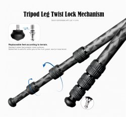 thumbnail tripod Leofoto LQ-284C + đầu ball LH-36 - 10