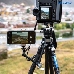 thumbnail tripod Leofoto LQ-324C + đầu ball LH-40 - 6