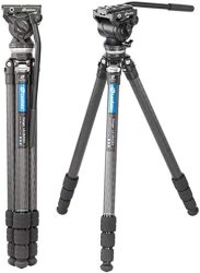 thumbnail tripod Leofoto LS-284CEX và đầu quay BV-10