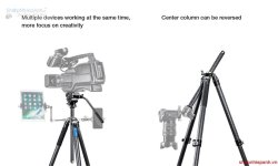 thumbnail tripod Leofoto LV-324C + đầu quay BV-10 - 6