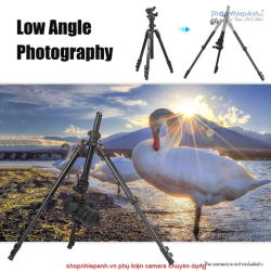 thumbnail Tripod Triopo K268 - 4