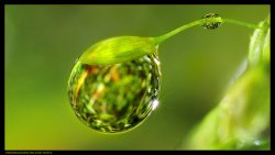 thumbnail Tube Macro AF Meike for Sony E-mount (metal mount) - 3